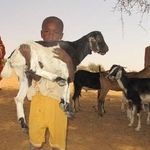 Kids for Kids helping people in remote Darfur by loaning goats