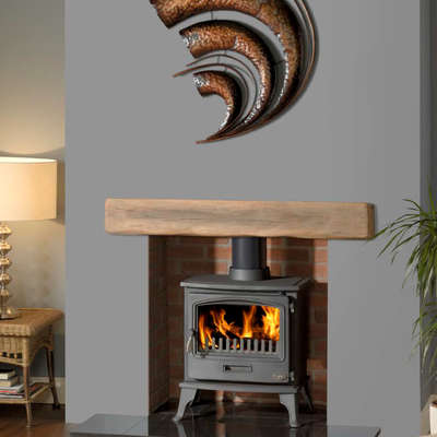 Tiger cb defra approved stove