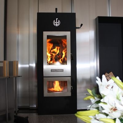 Walltherm Zebru Air stove 