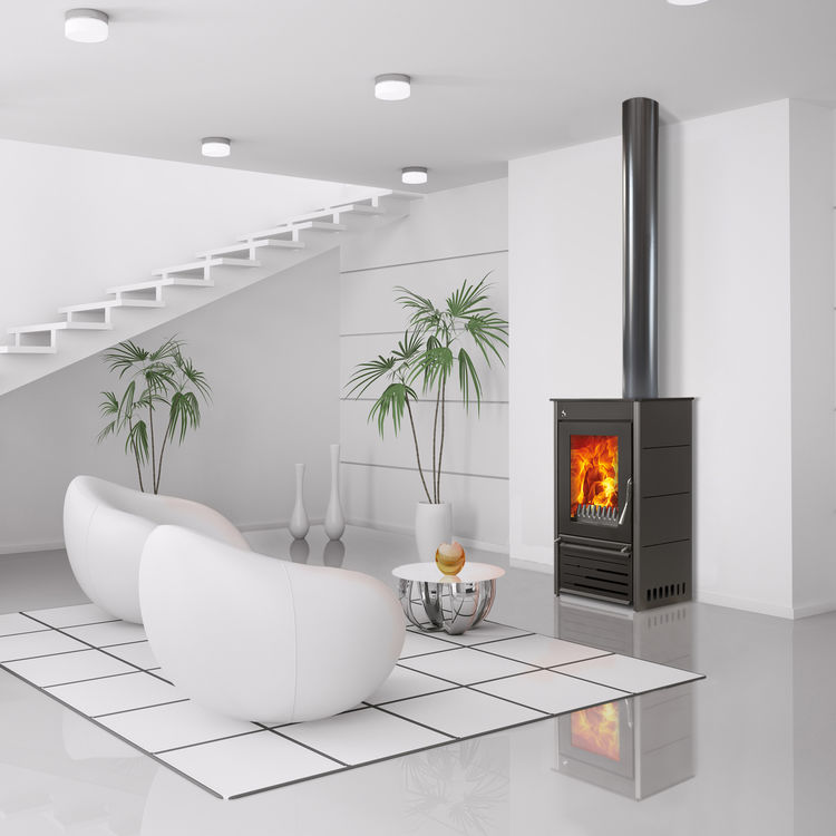Woodfire CX12 contemporary boiler stove