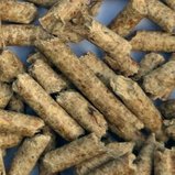 What are wood pellets?