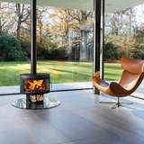 Panoramic FX1 wood stove 