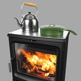 Saltfire Bignut 5 Stove