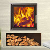 Woodfire EX inset stoves