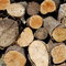 Firewood and Woodfuel